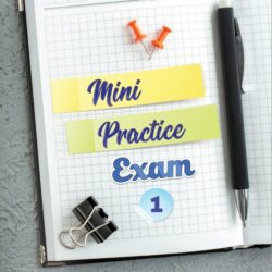 MINI PRACTICE EXAMS - 12.12