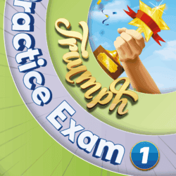 TRIUMPH PRACTICE EXAMS - 12.07 - Görsel 2