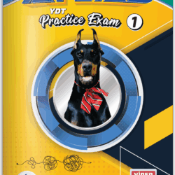 New Atlas YKS-DİL YDT Deneme Sınavı Seti | 8 Adet Kolaydan Zora Video Çözümlü