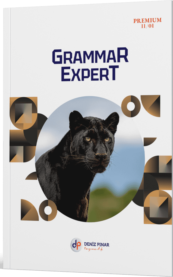 GRAMMAR EXPERT 11 – 11.01