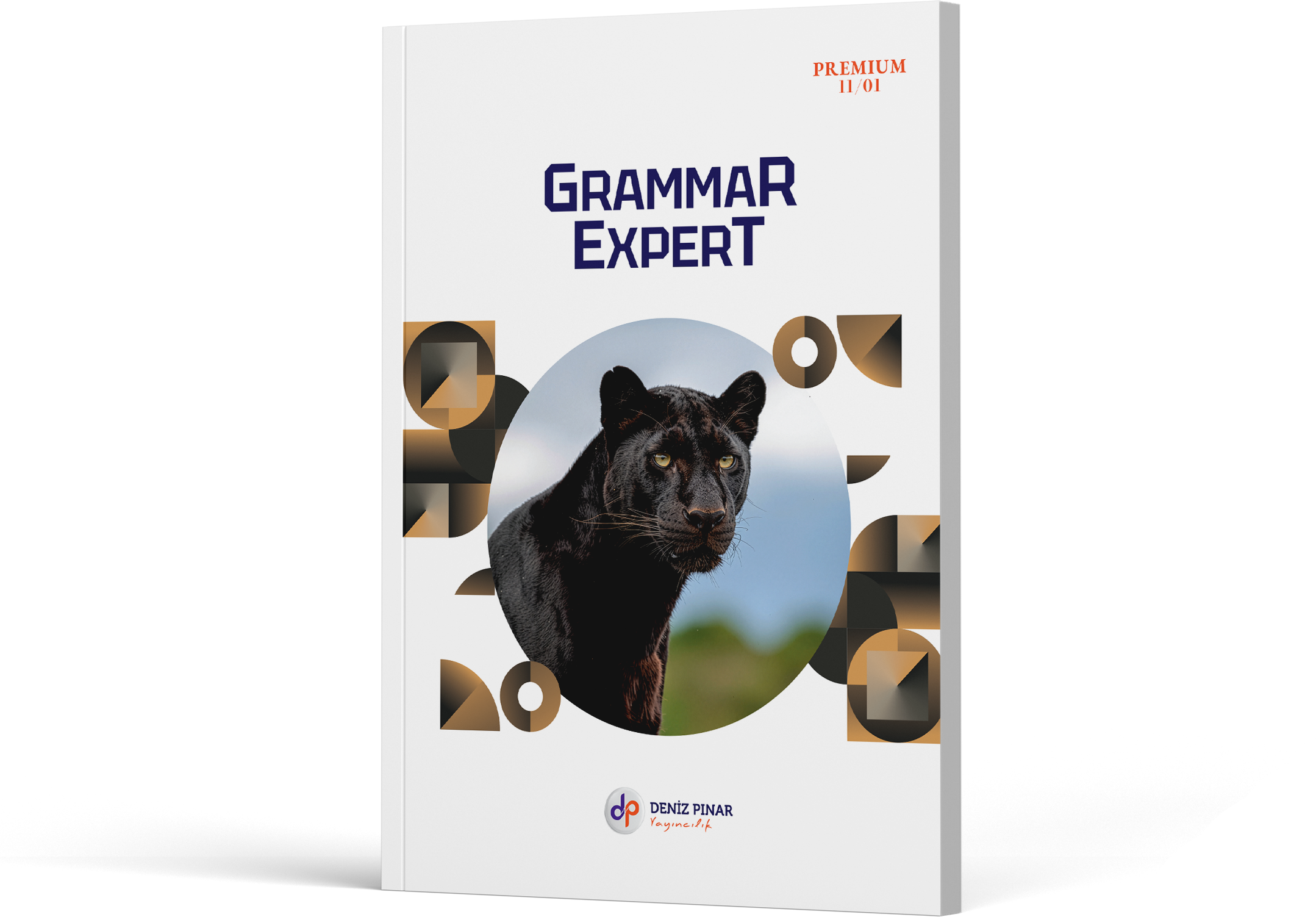 GRAMMAR EXPERT 11 - 11.01